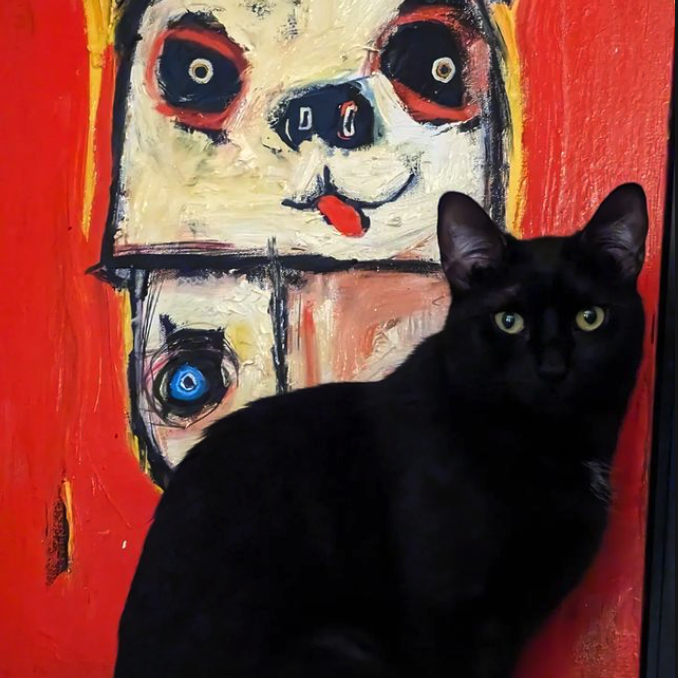 Matt Sesow cat
